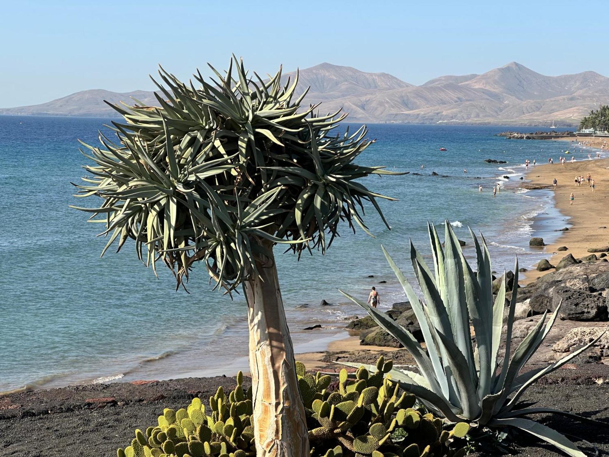 Sea View With Direct Access To Boulevard Puerto del Carmen  Exterior foto